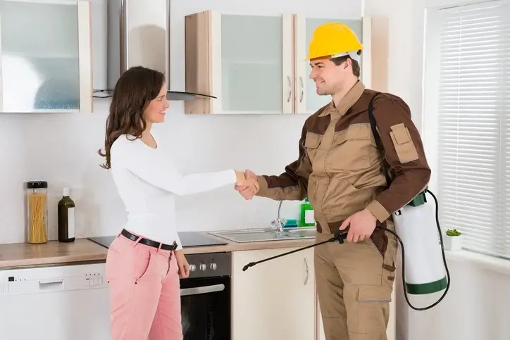 internal spraying pest control