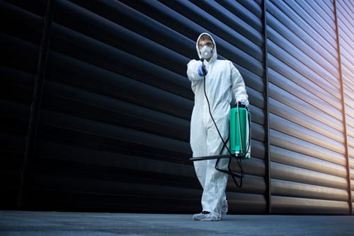 person-white-chemical-protection-suit-doing-disinfection-pest-control-spraying-poison-kill-insects-rodents roach control service