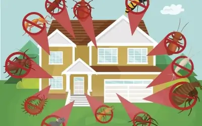 How to Prevent Pests in San Antonio, TX