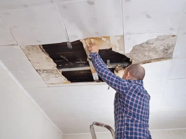 Repair gaps and holes Repair gaps and holes