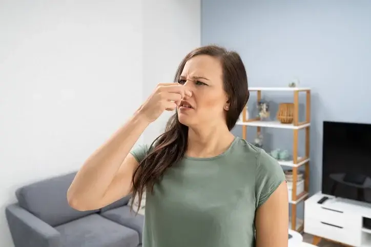 Smell Smell