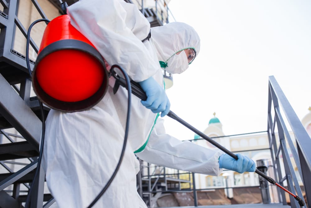 coronavirus-pandemic-disinfectant-protective-suit-mask-sprays-disinfectants-room termite infestations