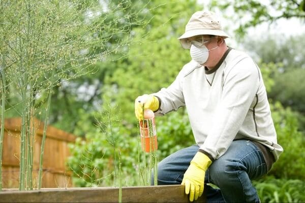 man on pest control spray