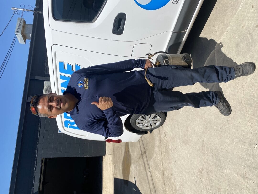 The Big Clean-Up: Tackling Cockroaches and Ants in Shertz