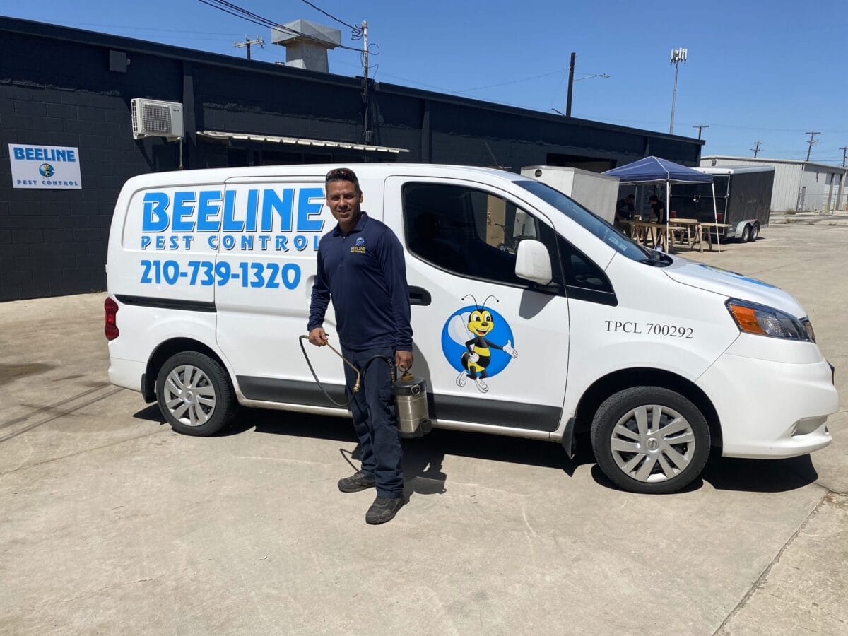 The Big Clean-Up: Tackling Cockroaches and Ants in Shertz