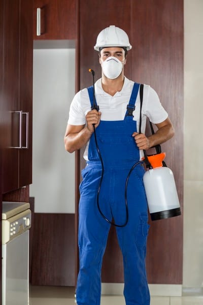 Man doing pest control in kitchen in a house Pest control agent