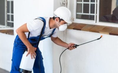 How Texas Beeline Handles the Most Stubborn Pests