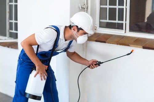 Pest control on service