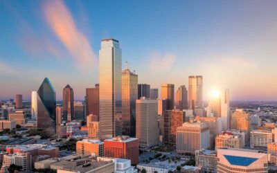 Texas-Specific Pest Control: What You Need to Know (And Why Texas Bugs Are Extra)