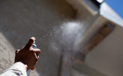 Blog 1 Wasp Control: How to Keep Wasps Away and Avoid Stings