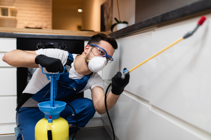 House pest control A professional pest control technician wearing safety gear applying a pet-safe indoor spider treatment along kitchen baseboards.