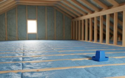Blog 16 How Much Does Pest Control Cost in San Antonio? A Local Pricing Guide