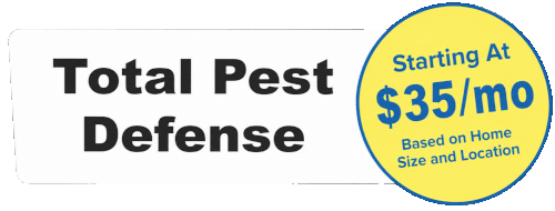 Pest Control - Beeline Pest Control of Texas