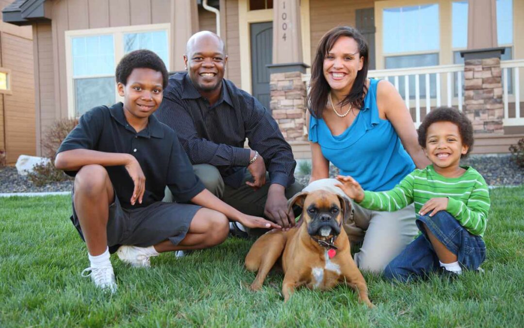 Are Fire Ants Dangerous to Pets? What Texas Homeowners Should Know