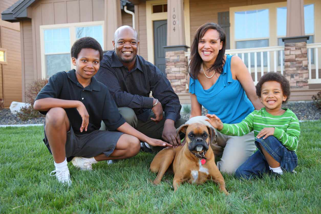 Are Fire Ants Dangerous to Pets? What Texas Homeowners Should Know